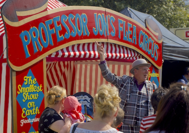 Professor Jon's Flea Circus
